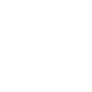 Essential Mindful - logo